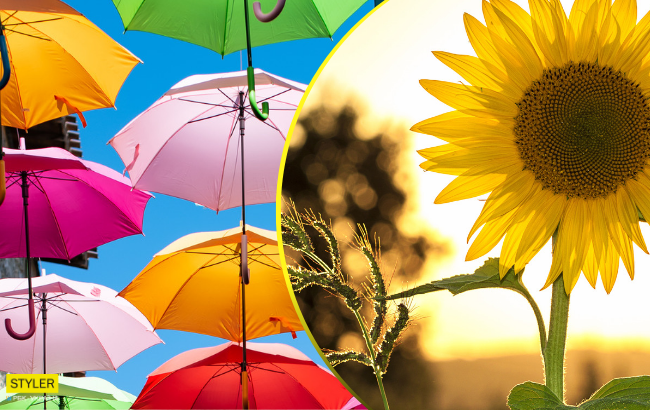 Пожары и аномальная жара: синоптики дали прогноз на понедельник